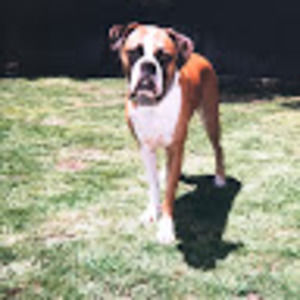 Meet your Posher, Uncle